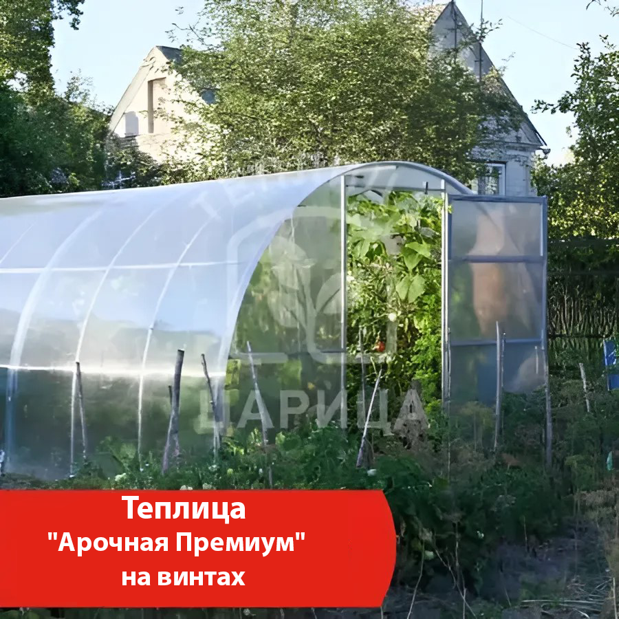 Теплицы - купить недорого в интернет-магазине Теплица Царица в Сыктывкаре